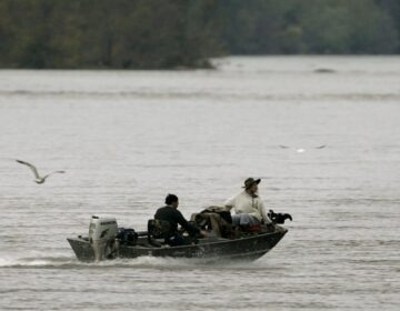 Fisherman on the Susquehanna River. It supplies half the freshwater flowing into the Chesapeake Bay. (Chris Gardner / AP Photo)