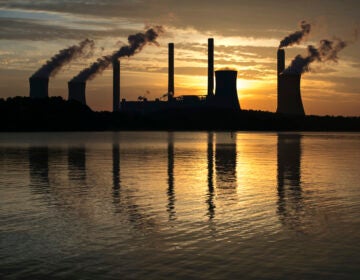 In this June 3, 2017 file photo, the coal-fired Plant Scherer, one of the nation's top carbon dioxide emitters, stands in the distance in Juliette, Ga. (AP Photo/Branden Camp)