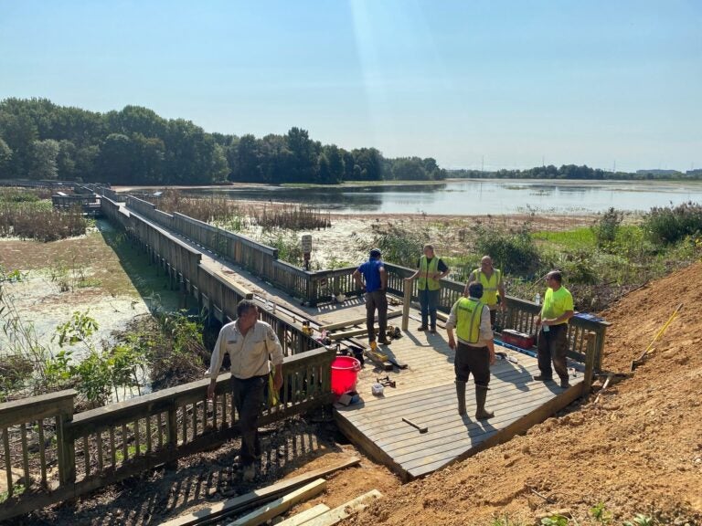 A team at the Heinz National Wildlife Refuge restoring ‘the water control structure.’ (Courtesy of the John Heinz National Wildlife Refuge at Tinicum)