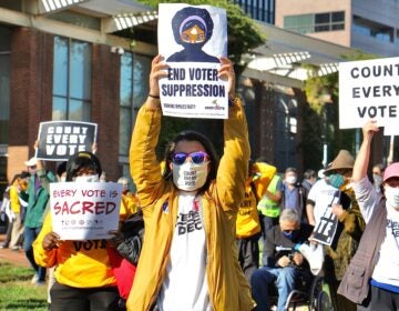 Protesters raise signs at the Count Every Vote rally on Independence Mall. (Emma Lee/WHYY)