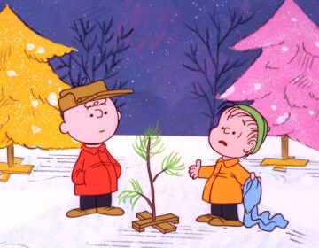 Charlie Brown Christmas special
