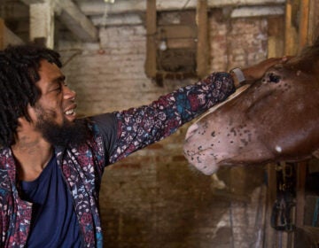 Jamil Prattis pets his favorite horse, 100, at the Fletcher Street Stables.