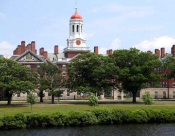 A panel of judges Thursday found that Harvard, pictured here in July, doesn't discriminate against Asian American students in the admissions process. (Maddie Meyer/Getty Images)