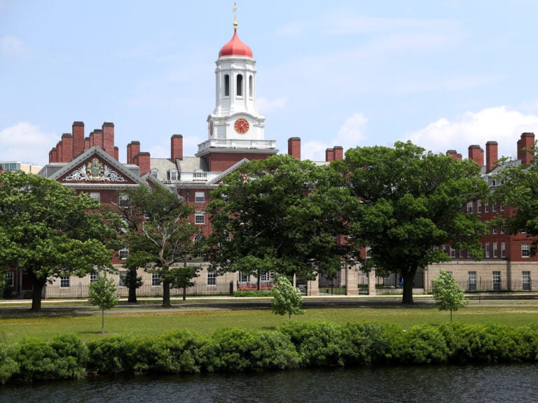 A panel of judges Thursday found that Harvard, pictured here in July, doesn't discriminate against Asian American students in the admissions process. (Maddie Meyer/Getty Images)