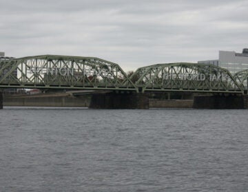 The Lower Trenton Bridge