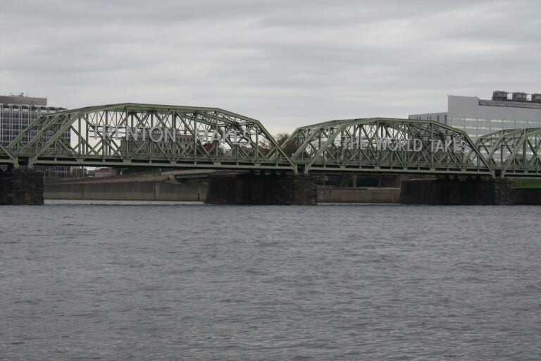 The Lower Trenton Bridge