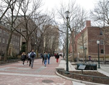 Locust Walk on the University of Pennsylvania campus.