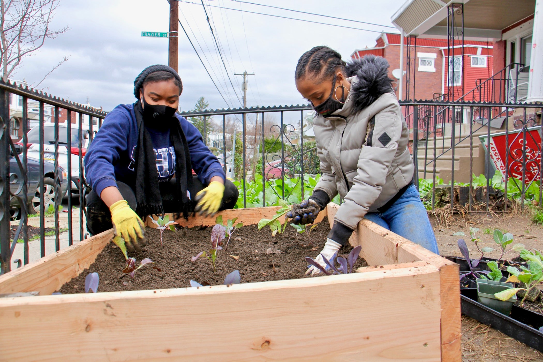 African farming grows in Southwest Philadelphia - WHYY