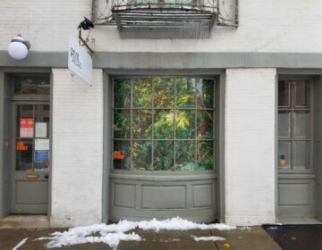 El Yunque, Puerto Rico's tropical rainforest, is on display on The Print Center's windows at 16th and Latimer streets. (Peter Crimmins/WHYY)