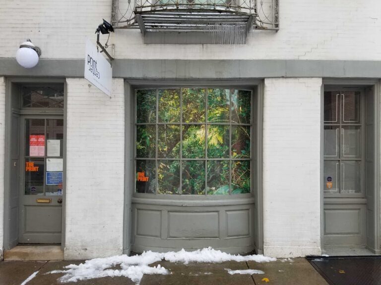 El Yunque, Puerto Rico's tropical rainforest, is on display on The Print Center's windows at 16th and Latimer streets. (Peter Crimmins/WHYY)