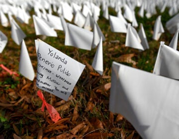 White flags planted by volunteers visualize lives lost in the U.S. to COVID-19 as part of an installation by artist Suzanne Firstenberg in Washington, D.C. The death toll has now reached 300,000.