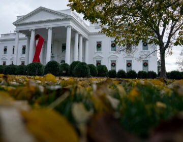 A ribbon hangs on the White House for World AIDS Day 2020, Tuesday, Dec. 1, 2020, in Washington. (AP Photo/Evan Vucci)