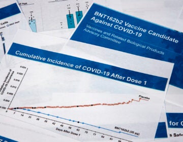 Documents created by Pfizer for the meeting with the Food and Drug Administration advisory panel, as Pfizer seeks approval for emergency use of their COVID-19 vaccine, are seen on Thursday, Dec. 10, 2020. The meeting of outside advisers to the Food and Drug Administration represented the next-to-last hurdle before the expected start of the biggest vaccination campaign in U.S. history. Depending on how fast the FDA signs off on the panel's recommendation, shots could begin within days. (AP Photo/Jon Elswick)