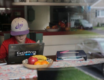 A young student attends virtual school from his home