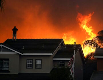 Herman Termeer, 54, stands on the roof of his home as the Blue Ridge Fire burns along the hillside in Chino Hills