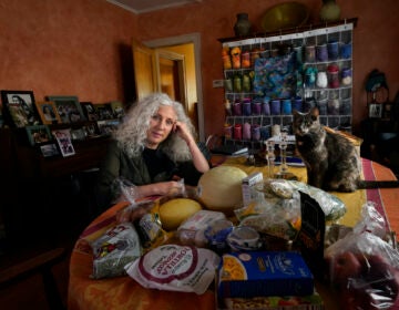 Phyllis Marder poses with her cat, Nellie, with food she recently obtained from a local food bank in the dining room of her home