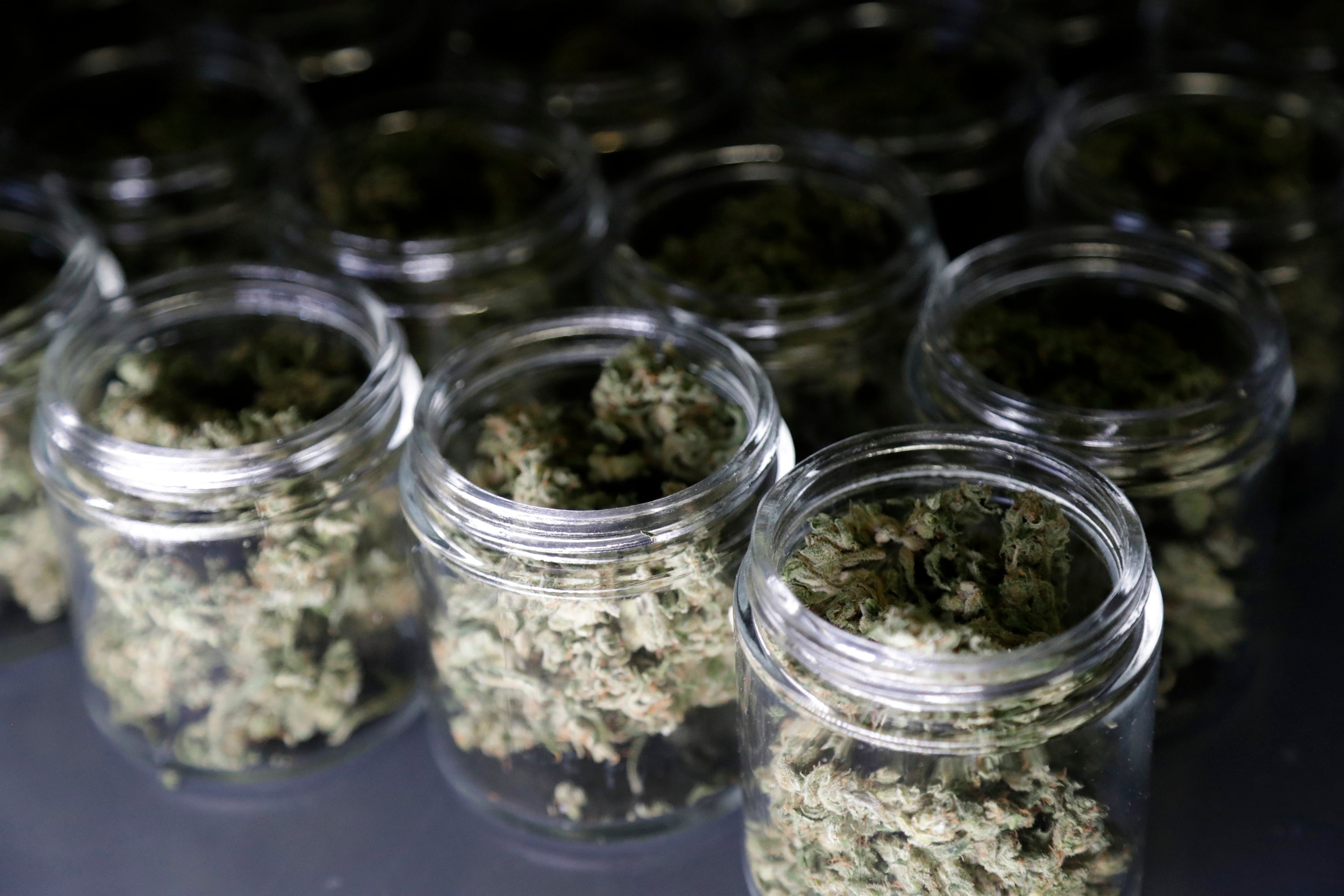 Marijuana buds are seen in a prescription bottle as they are sorted at Compassionate Care Foundation's grow house