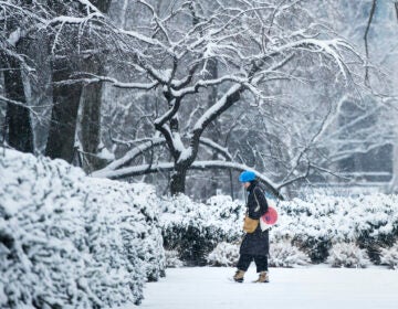 A woman walks in the snow at the Philadelphia Museum of Art in Philadelphia