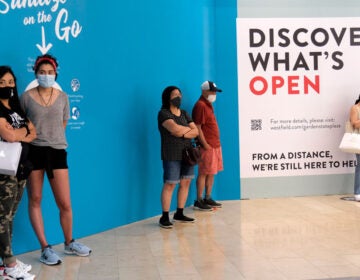 In this June 29, 2020, customers waited in line to enter a store at Garden State Plaza in Paramus, New Jersey. (Seth Wenig/AP Photo) 