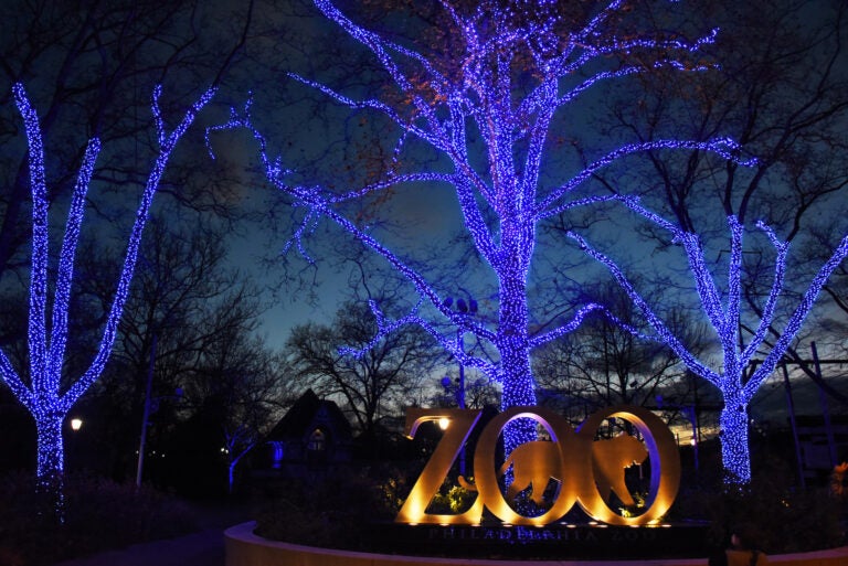 The Philadelphia Zoo is aglow with blue lights to thank frontline workers. (Photo by Hughe Dillon)