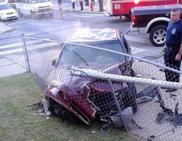 When a car crashed into Donna Price’s fence, it lit her lawn on fire. (Courtesy of Donna Price)