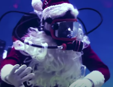 Scuba Santa at Adventure Aquarium in Camden, N.J. (Adventure Aquarium / youtube)