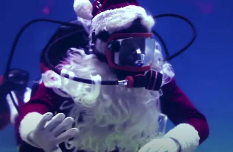 Scuba Santa at Adventure Aquarium in Camden, N.J. (Adventure Aquarium / youtube)