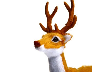 Toy reindeer on white background