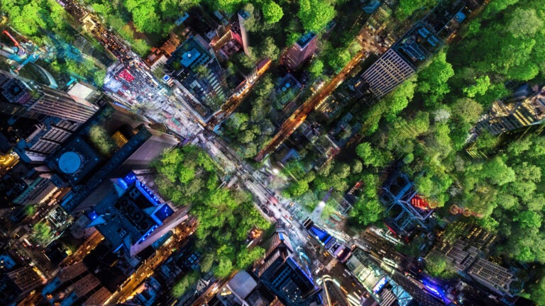 An aerial rending of Times Square, imagined in the possible future with trees taking over the urban space. That speculative future is part of the sound art piece Times3. (Courtesy of Prototype opera festival)