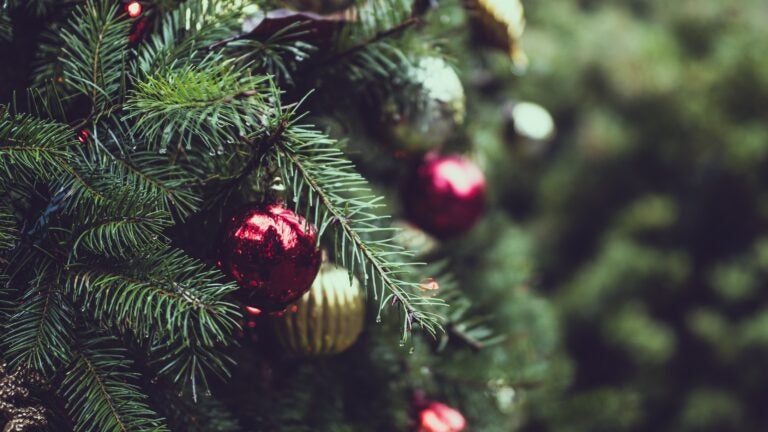 Ornaments are pictured close-up on a Christmas tree
