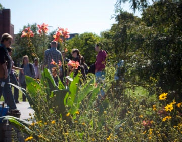 Neighbors gather in Liberty Lands Park in 2011.