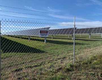 The Nittany 1 Solar Farm, seen here from outside protective fencing in Lurgan Township, Franklin County on Nov. 24, 2020. (Rachel McDevitt/StateImpact Pennsylvania)