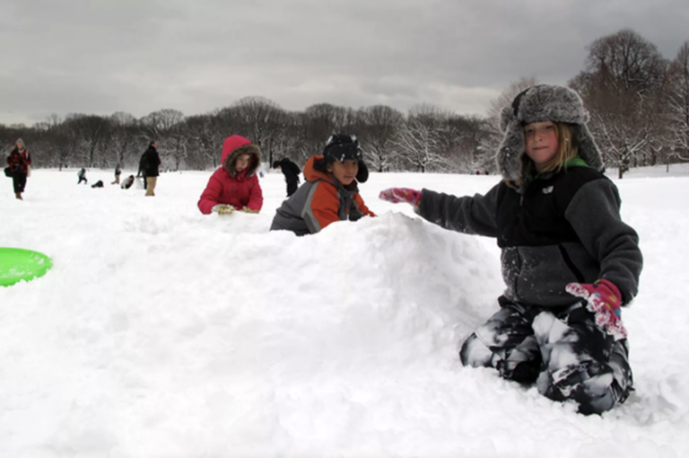 A snow day in Brooklyn.