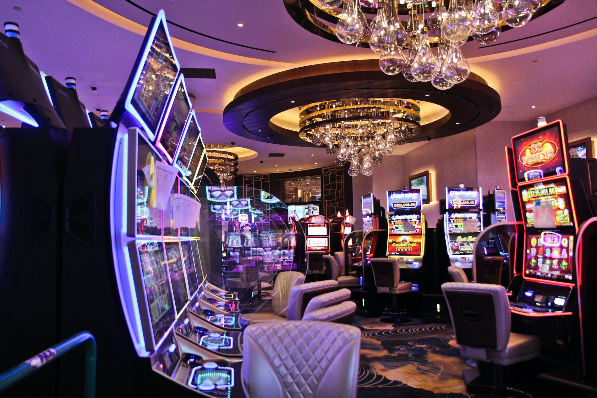 New live casino videos