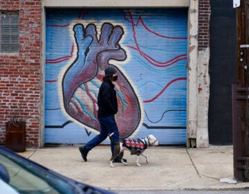 A man wearing a face mask to protect against the spread of the coronavirus walks with a dog, Wednesday, Dec. 9, 2020, in Northeast Philadelphia. (AP Photo/Matt Slocum)