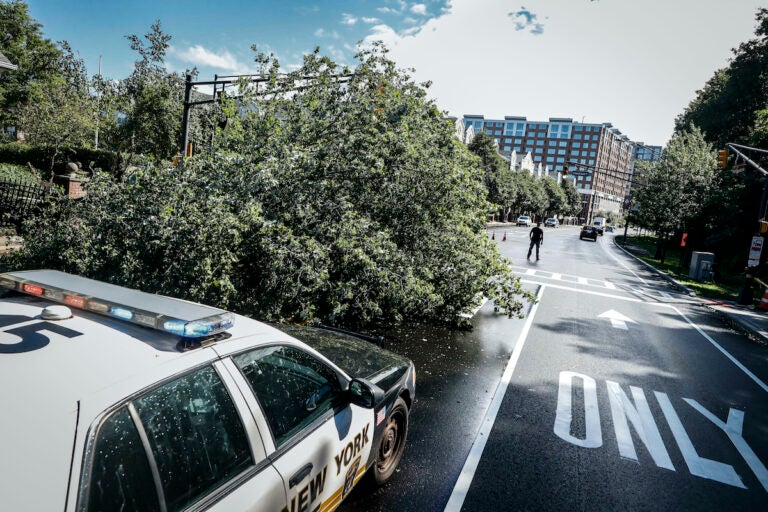 Police officers direct traffic around a fallen tree brought down by heavy rains and wind, Tuesday, Aug. 4, 2020, in West New York, N.J. (AP Photo/John Minchillo)