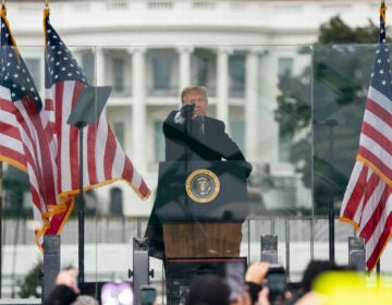 President Donald Trump speaks during a rally protesting the electoral college certification of Joe Biden as President, Wednesday, Jan. 6, 2021, in Washington. (AP Photo/Evan Vucci)