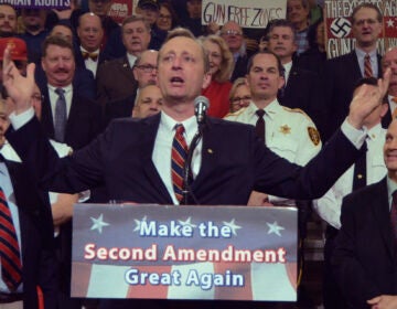 Pennsylvania state Rep. Jeff Pyle, R-Armstrong, speaks at an annual gun rights rally in the state Capitol Rotunda on Monday, April 30, 2018 in Harrisburg, Pa. (AP Photo/Marc Levy)