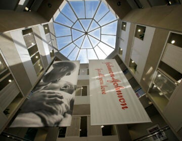 In this July 30, 2013, file photo, large banners hang in an atrium at the headquarters of Johnson & Johnson in New Brunswick, N.J. (AP Photo/Mel Evans)