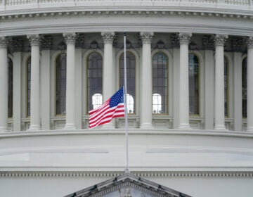 An American flag flies at half-staff in remembrance of U.S. Capitol Police Officer Brian Sicknick above the Capitol Building