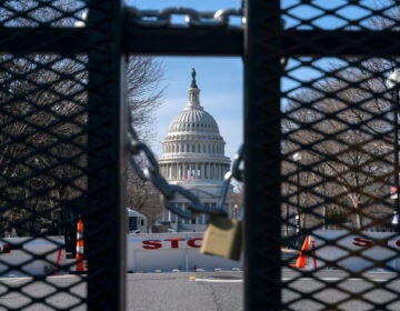 With the U.S. Capitol in the background, a lock on anti-scaling security fencing is seen