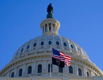 The U.S. Capitol in Washington