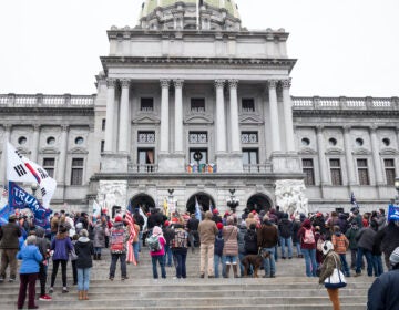 President Donald Trump supporters gather on the statehouse steps as the Pennsylvania House of Representatives are sworn-in