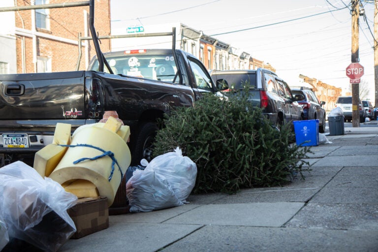 Christmas trees put out in the trash