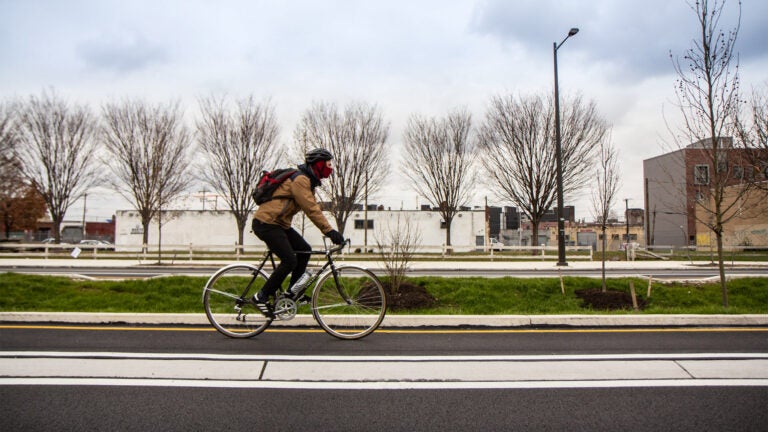 A biker uses the raised bike lanes on American Street.