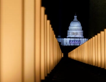 Lights surround the Lincoln Memorial Reflecting Pool, placed as a memorial to COVID-19 victims