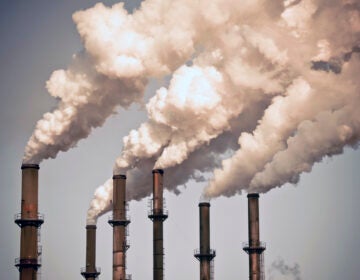 A new EPA rule will make it more difficult for the regulators to use some scientific studies about the connection between pollution and health.
(DKAR Images/Getty Images)