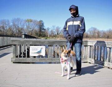 Leonard Stewart, 75, of Eastwick, walks with his dog, Princess, on the boardwalk at the John Heinz National Wildlife Refuge at Tinicum. (Emma Lee/WHYY)