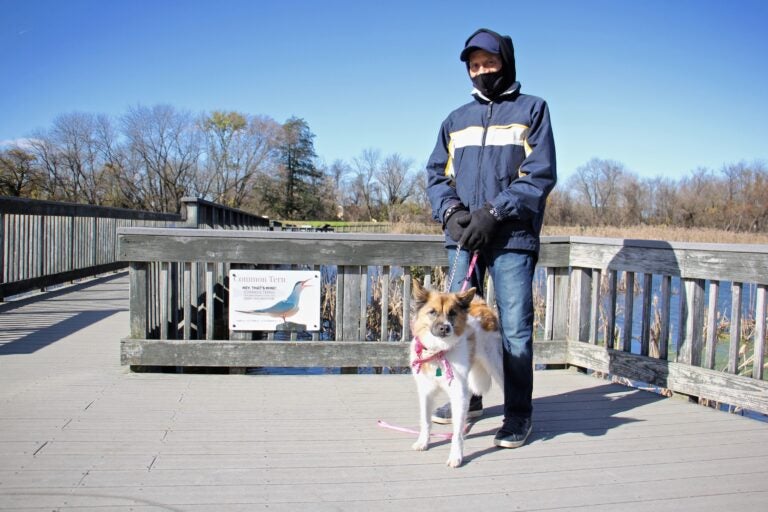 Leonard Stewart, 75, of Eastwick, walks with his dog, Princess, on the boardwalk at the John Heinz National Wildlife Refuge at Tinicum. (Emma Lee/WHYY)