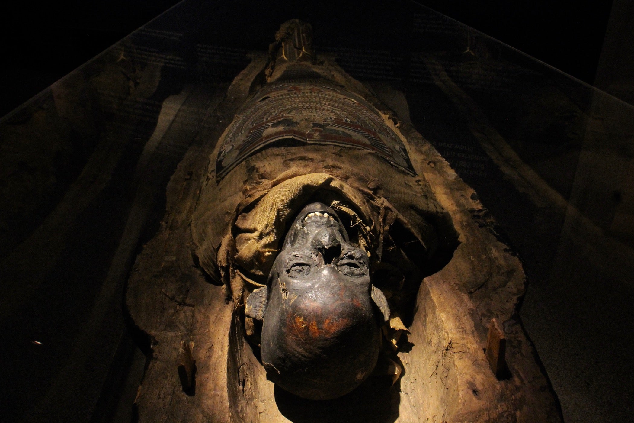 The Mystery of Blonde Hair Mummies in Egypt - wide 3